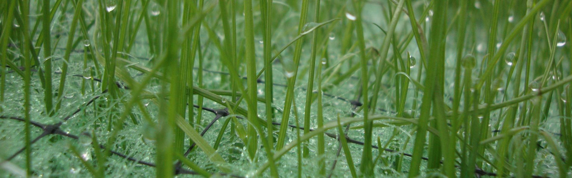 Turf Reinforcement Matting Turf Reinforcement Matting