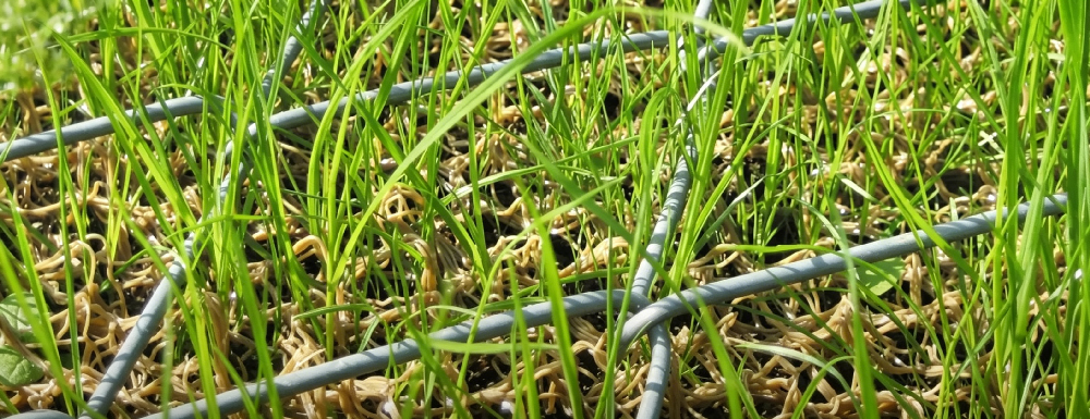 Erosion control / re-vegetation mesh Erosion control / re-vegetation mesh