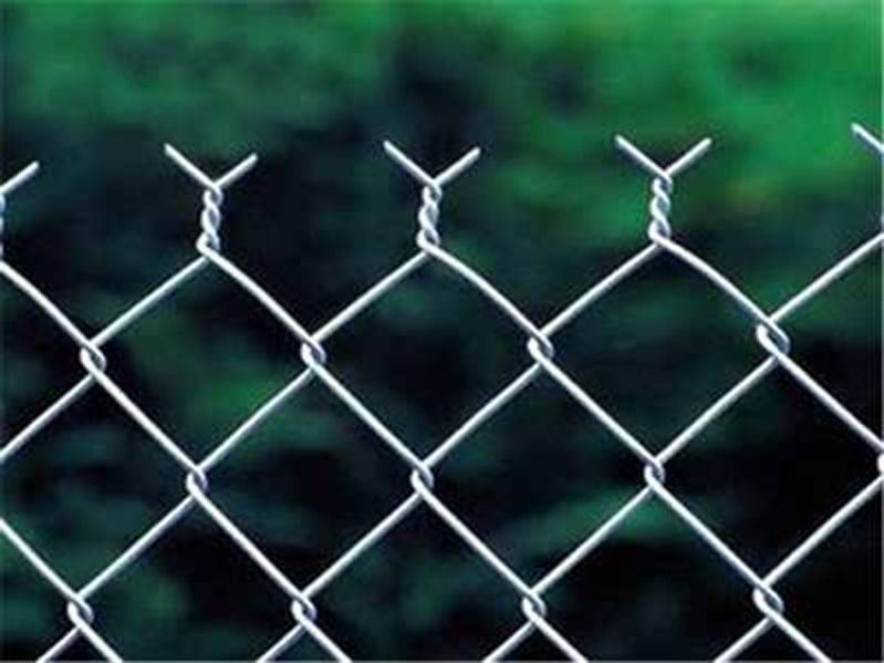 Chain Link Mesh