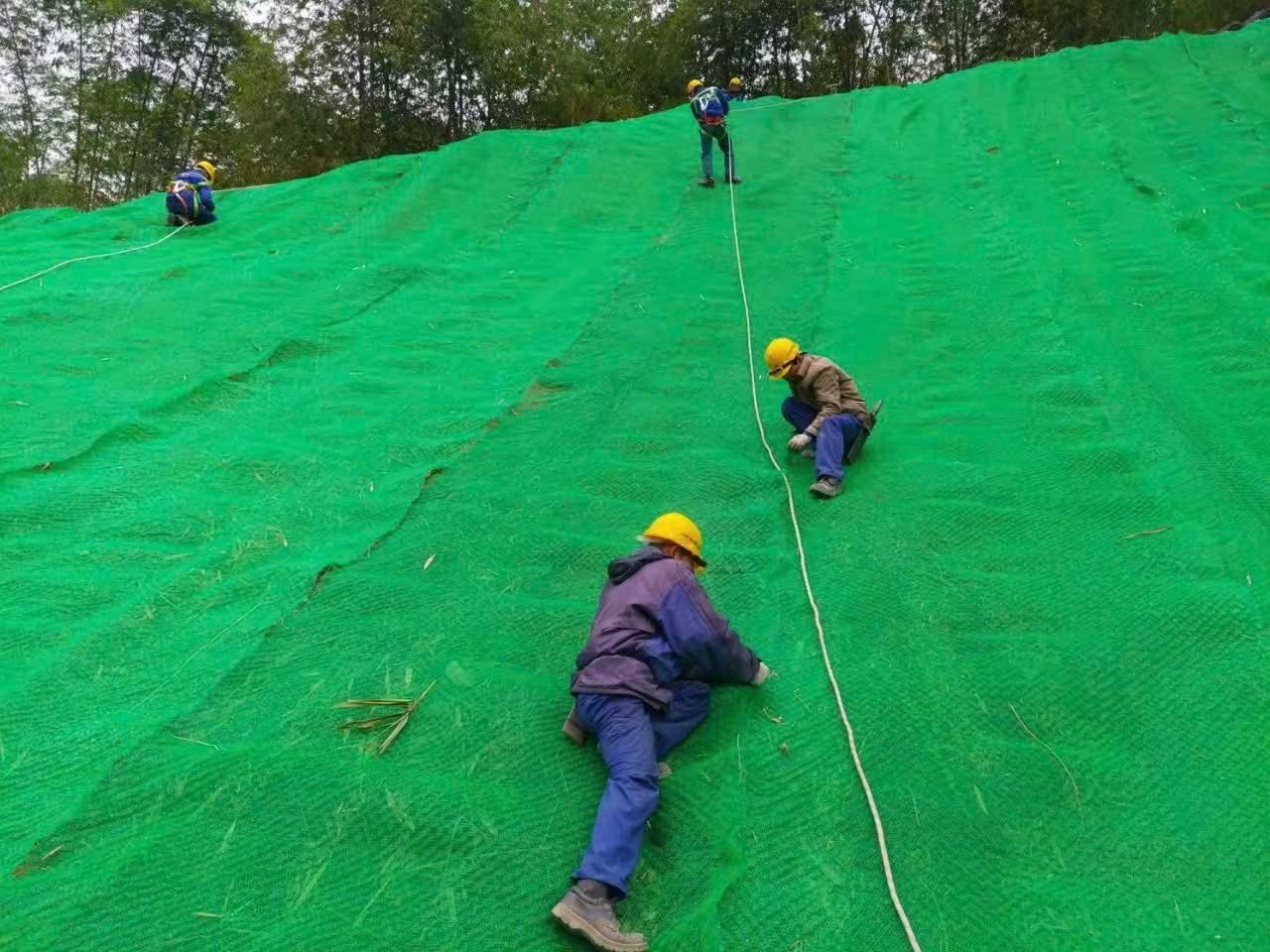 3D Geomat Erosion Control Blanket