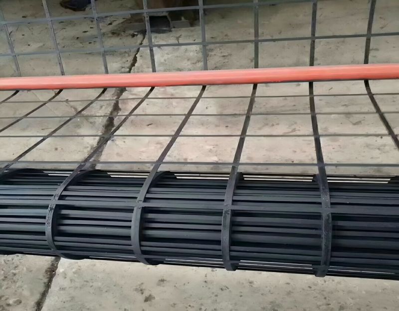 Geogrid