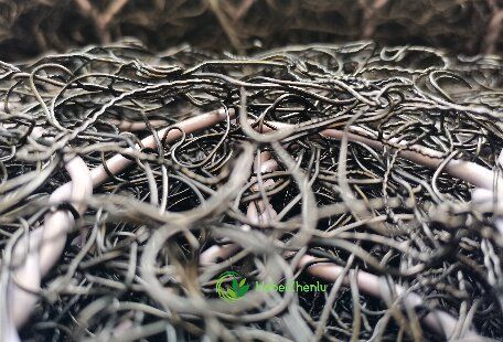 Geomat Composite with Double Twisted Gabion Mesh