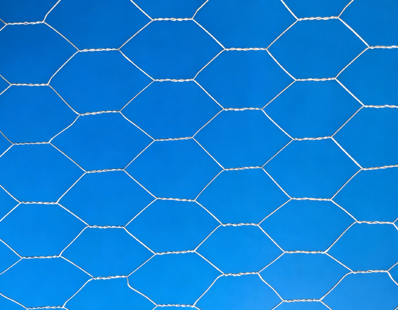 Hexagonal Wire Mesh
