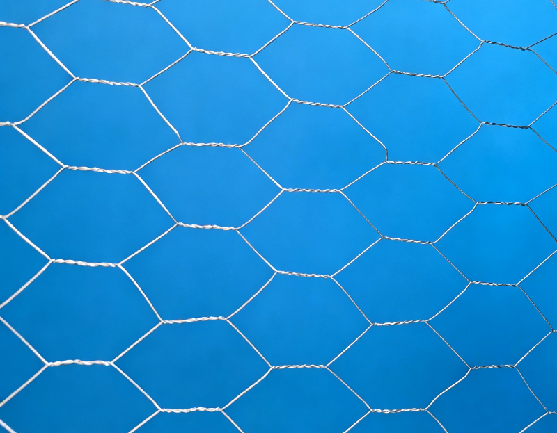 Hexagonal Wire Mesh