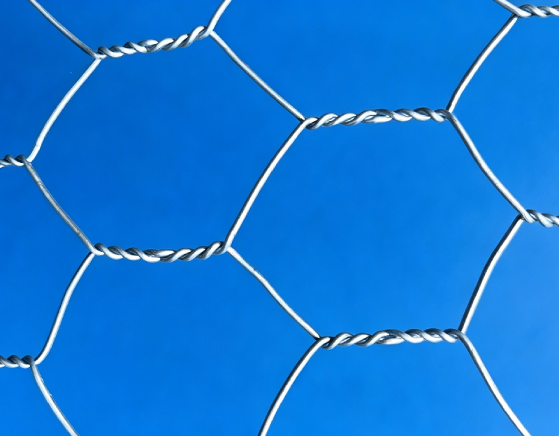 Hexagonal Wire Mesh