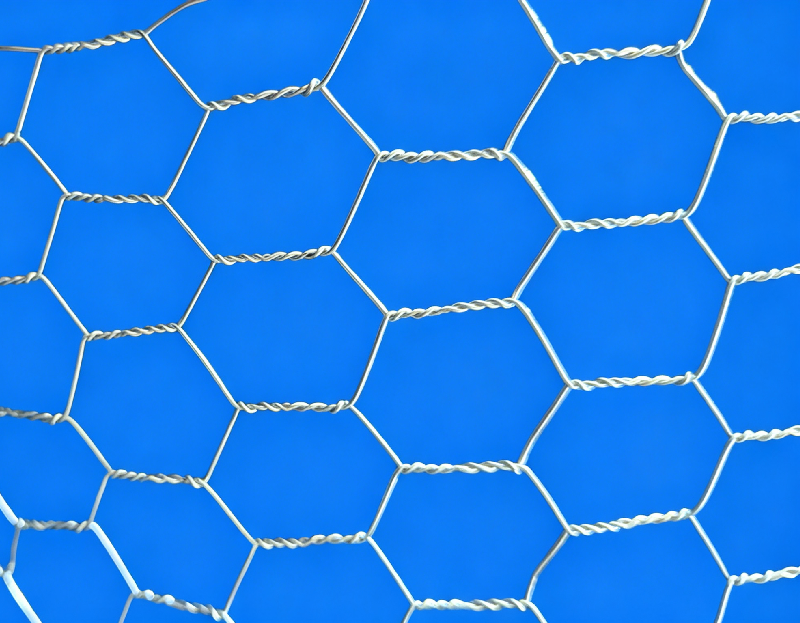Hexagonal Wire Mesh